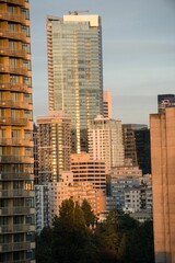 Modern office buildings in city