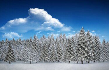 Fototapeta premium Fir tree forest in snowy landscape