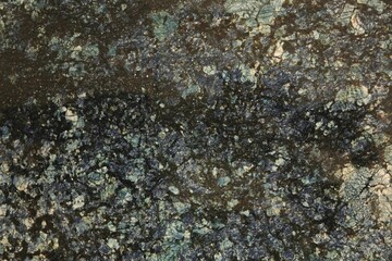Old weathered wall, Close-up