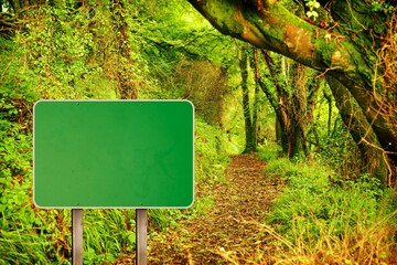 Green road sign by mountain trail