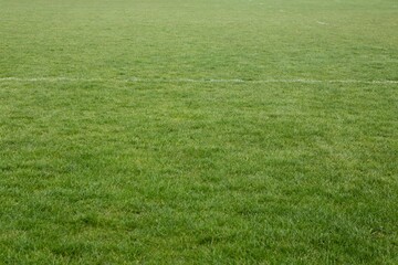 large green grass field is being shown in flat vector illustration, with faint white pitch marking