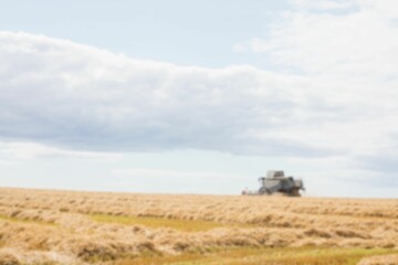 Combine harvester on wheat field © vectorfusionart