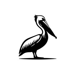 pelican silhouettes , pelican vector