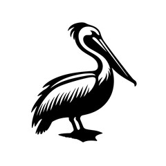 pelican silhouettes , pelican vector
