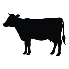 Silhouette of a Dairy Cow Standing Calmly A Simple Yet Striking Representation of Farm Life and Agriculture