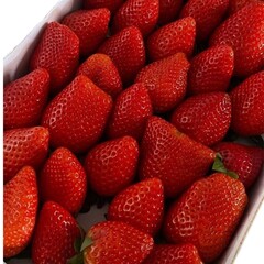 strawberries in a box