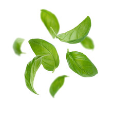 Flying basil leaves transparent image png