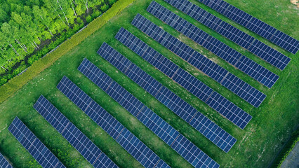 Capturing sunlight, solar panels spread across a vibrant green field