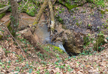 a small stream of water along the bottom of the stream in the middle of spring with a variety of flow forms