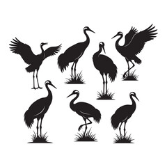Obraz premium Seven Black Silhouettes of Cranes in Various Poses Standing in Simple Grass Tufts on a White Background Bird Wildlife Nature Animal Graphic Design Element