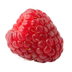 Rasp Isolated on Transparent Background