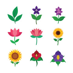 Collection of blooming herbs and seasonal flowers Color Vector illustration