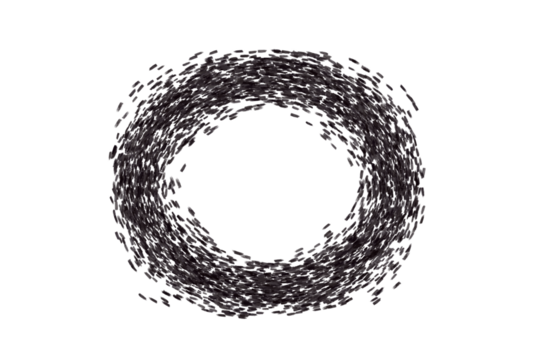Abstract black swirl stroke with a circular loop on transparent background. Ideal for digital posters, scrapbook accents, branding visuals, or dark-themed design overlays