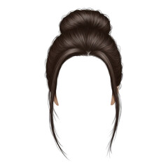 Elegant hairstyle featuring a sleek bun with long, flowing strands, perfect for formal occasions