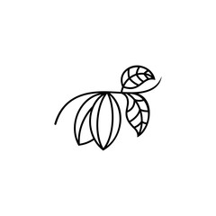 Cacao plant logo icon vector template