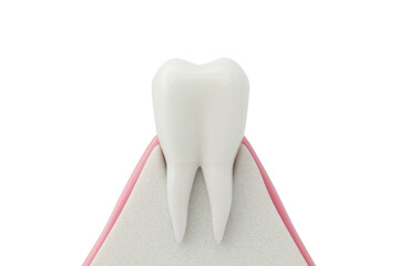 Healthy Teeth and Gums, The Goal of Good Oral Hygiene and Dental Care. 3D Illustration.