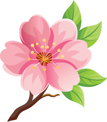 pink flower isolated on white color petal decoration