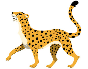 wild animal cheetah illustration
