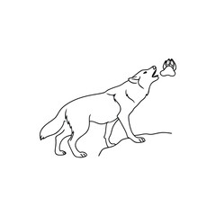Fototapeta premium Line art wolf howling at paw print on white background