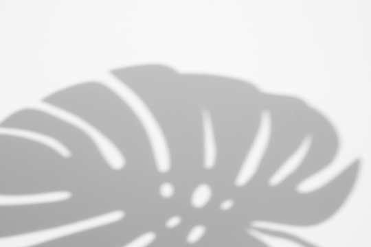 monstera shadow overlay effect,realistic sunmmer sunlight tropical leaves shadows isolated on transparent png background