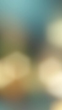 Light leak lens flare effect vertical video 13(Lens Flare Emotional Transition Effect Video)