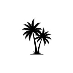 Obraz premium Two palm trees are silhouetted against an isolated on white background