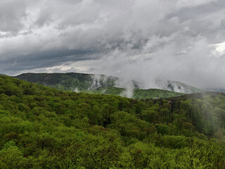 Thick mist rises from the green spring forest after rainfall near Buzgó-kő. A dramatic sky adds...