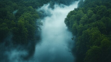 Misty river winding through lush forest