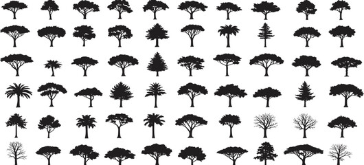 Tree silhouette collection with various shapes and sizes, isolated vector icons, nature design elements, forest trees, black outline illustrations