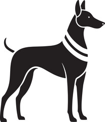 Obraz premium Elegant Egyptian pharaoh hound silhouette isolated on white background
