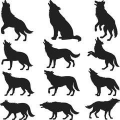 Wolf silhouette collection, wild canine animal poses, howling, walking, jumping wolf vector set for forest wildlife, nature design clipart