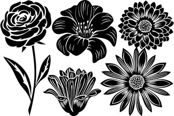 black and white flowers