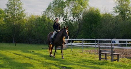 A woman rides a horse at a slow pace along a paddock on a summer day