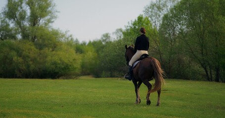 An elegant woman gallops on a horse through a picturesque countryside, rear view, unrecognizable...