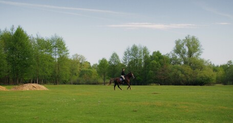A woman gallops on a horse across a field. Sunny day, picturesque nature