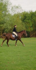 A woman gallops on a horse across a field. Sunny day, picturesque nature