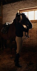 A woman harnesses a horse standing in a paddock. Preparing for a horse ride on a sunny day