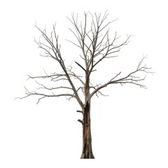 Autumn Leaves and Cozy Elements on White Background