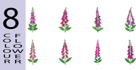 Foxglove Flower Flat Style Botanical Vector Illustration © AKIH