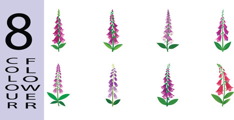 Foxglove Flower Flat Style Botanical Vector Illustration © AKIH