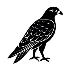 snail kite