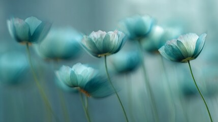 Dreamy turquoise blossoms with delicate petals swaying, subtle green stems convey serenity in a