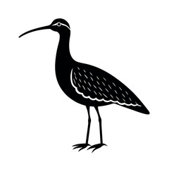 whimbrel
