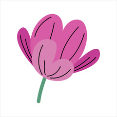 Spring Bright Purple Flower Bloom