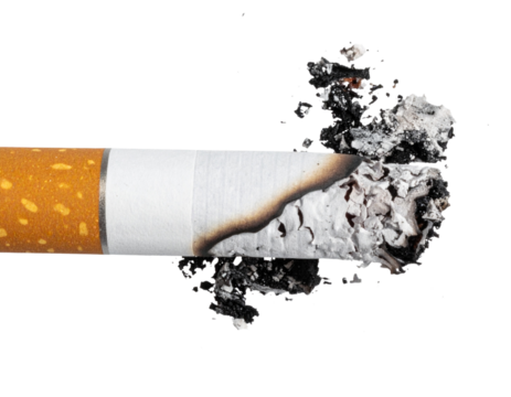 Burnt Cigarette End with Ash and Paper Tear  Isolated White Background