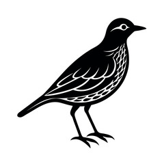 woodlark