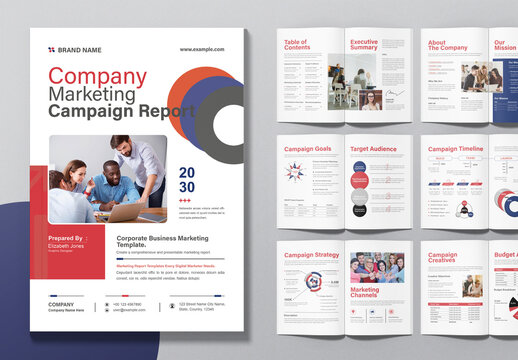 Company Marketing Campaign Report