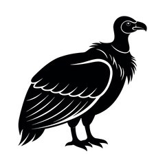 andean condor