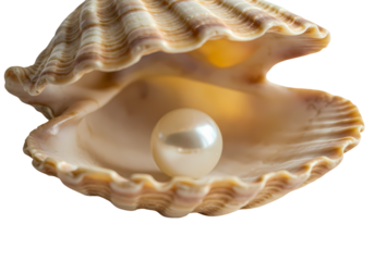 Pearl of the Ocean A Luminescent Treasure isolated on transparent baackground