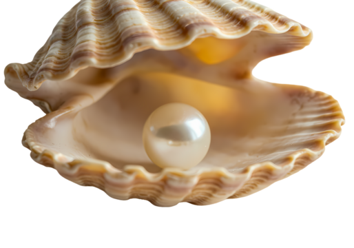 Pearl of the Ocean A Luminescent Treasure isolated on transparent baackground